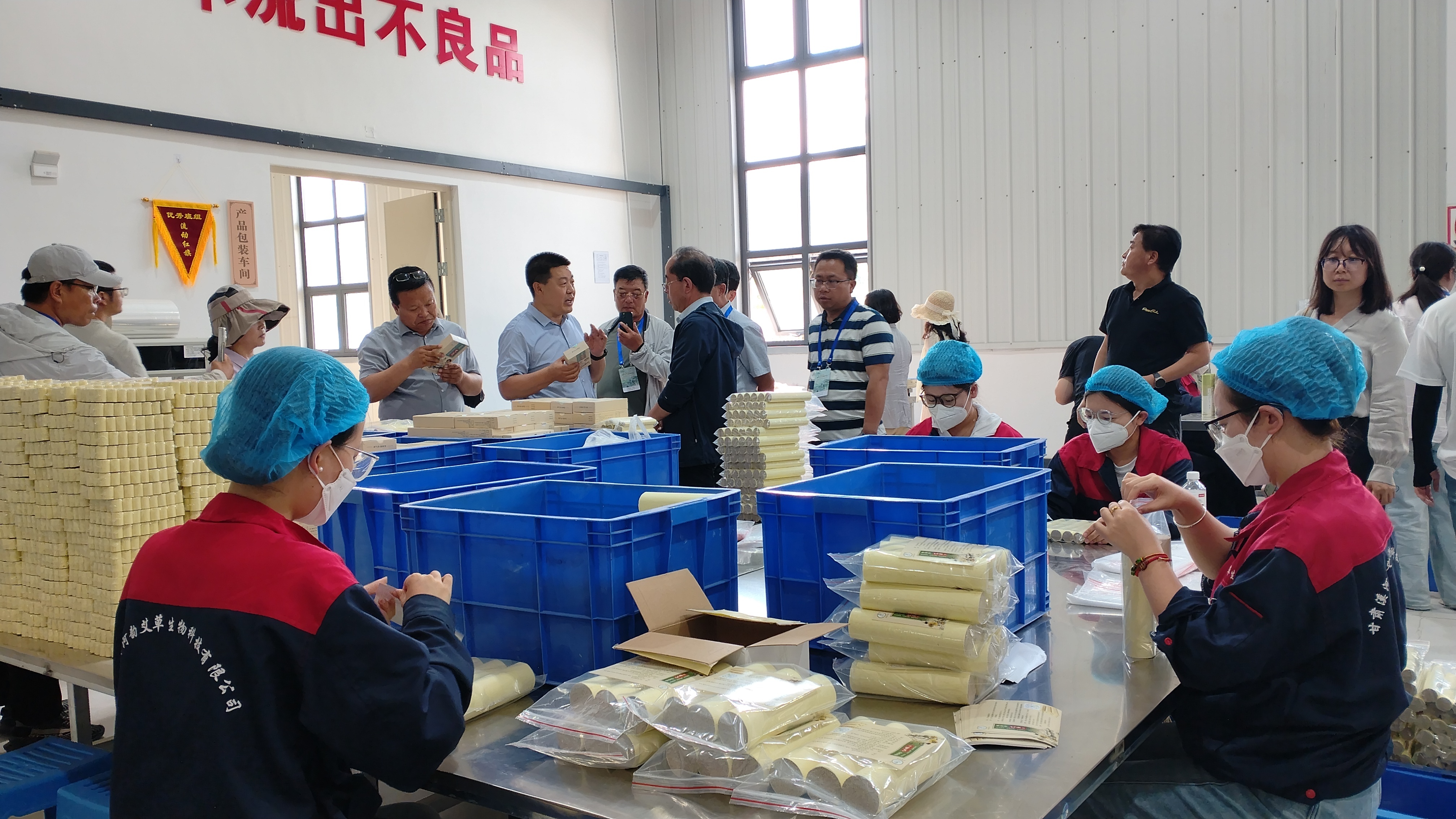 6月16日，问道团成员在艾草产品生产加工基地了解艾草种植、研发、深加工全产业链发展模式。王小兰　摄