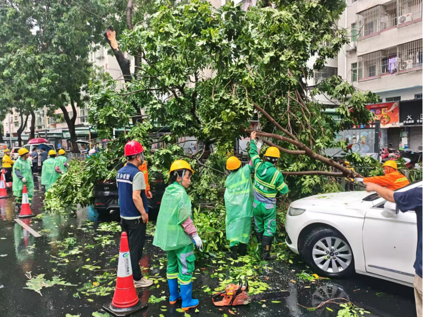 闻“汛”而动筑防线 西乡街道综合行政执法队全力守护辖区平安