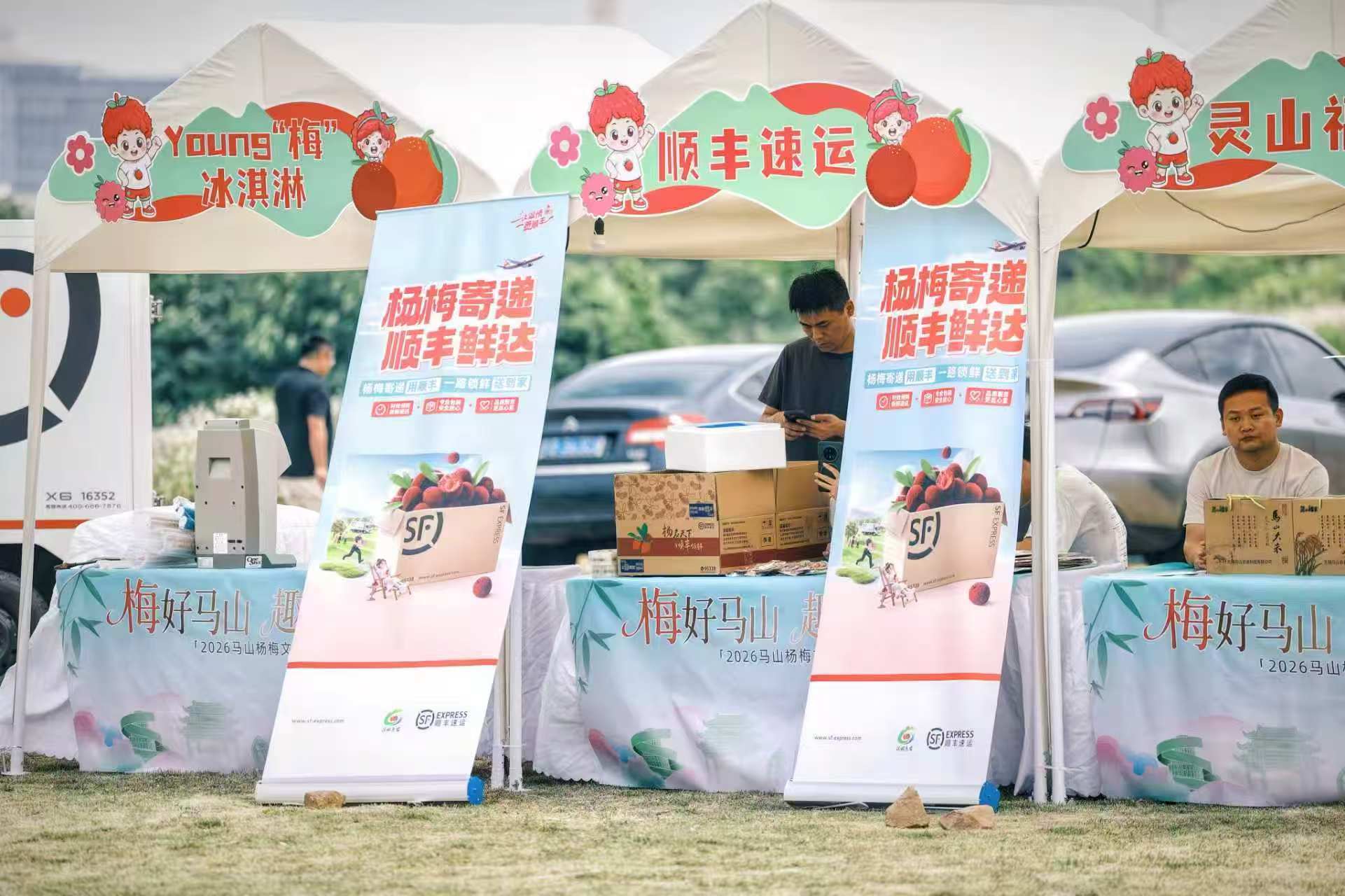 “梅”好的马山，为何值得你来？