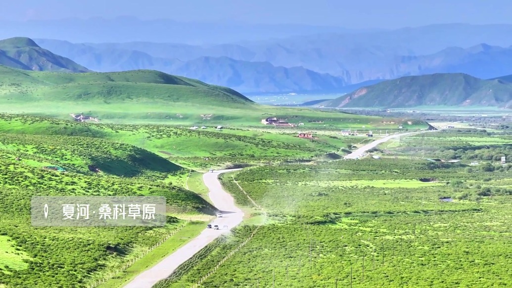 治愈所有疲惫肆意呼吸　甘肃夏河桑科草原“植”得奔赴