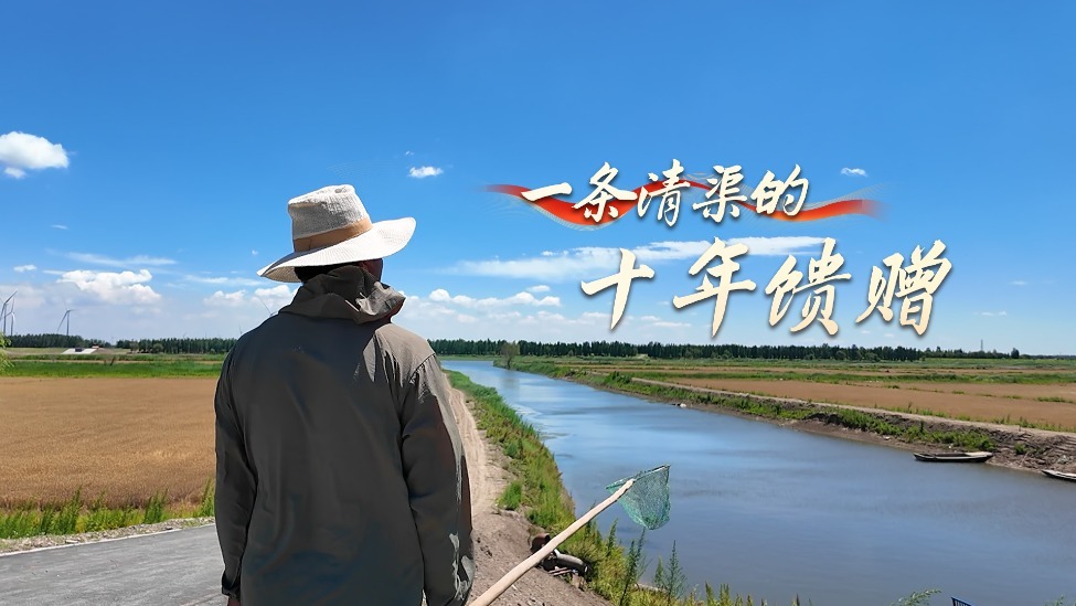 美丽中国行｜从不足万元到6万多元，一条清渠的十年馈赠