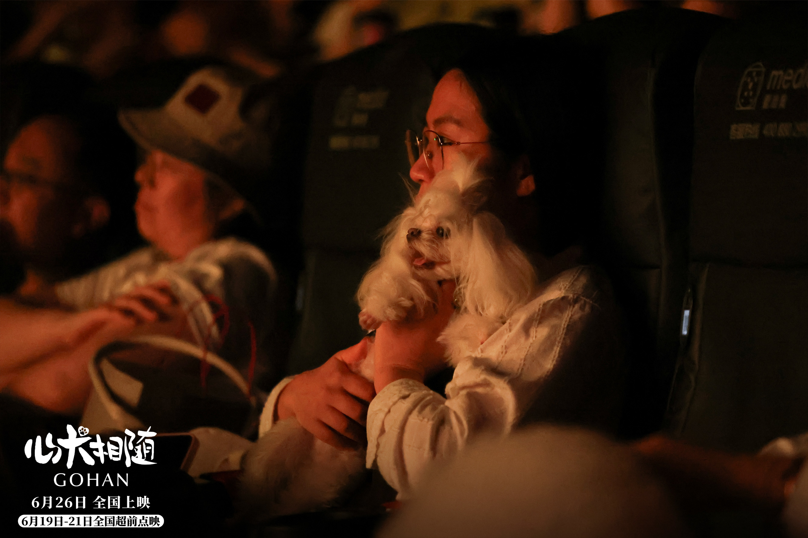 泰国高分电影心犬相随在华首映，主创亮相引情感共鸣