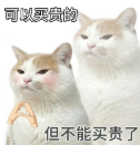 用豆包专业版干活后,我承认之前是我说话太大声了