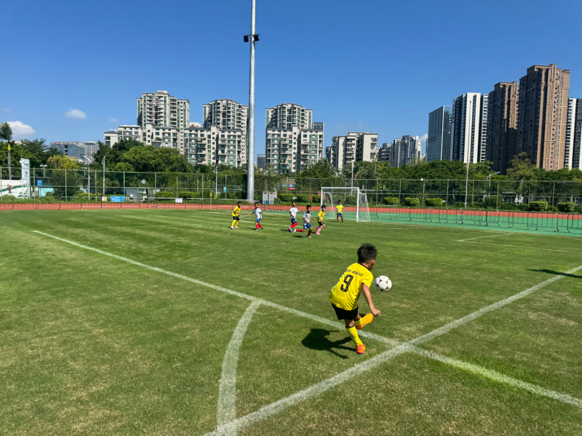 燃爆绿茵场!宝安西乡第十届 “红树林杯” 小学生足球赛圆满收官