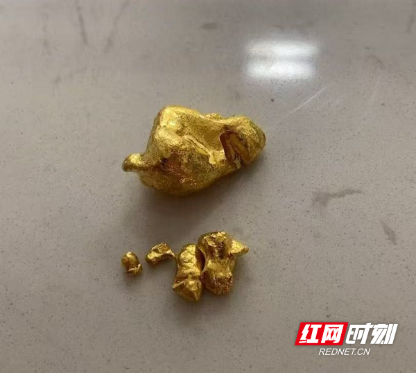 追缴的涉案黄金。