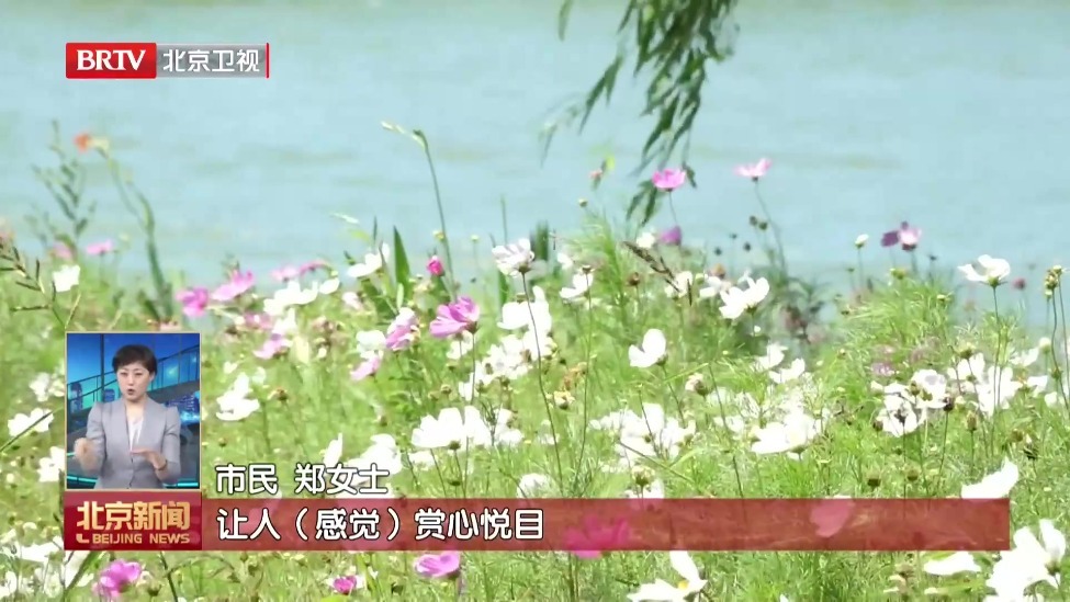 串点成线 连线成网 本市构建“两横四纵”高品质滨水空间示范带
