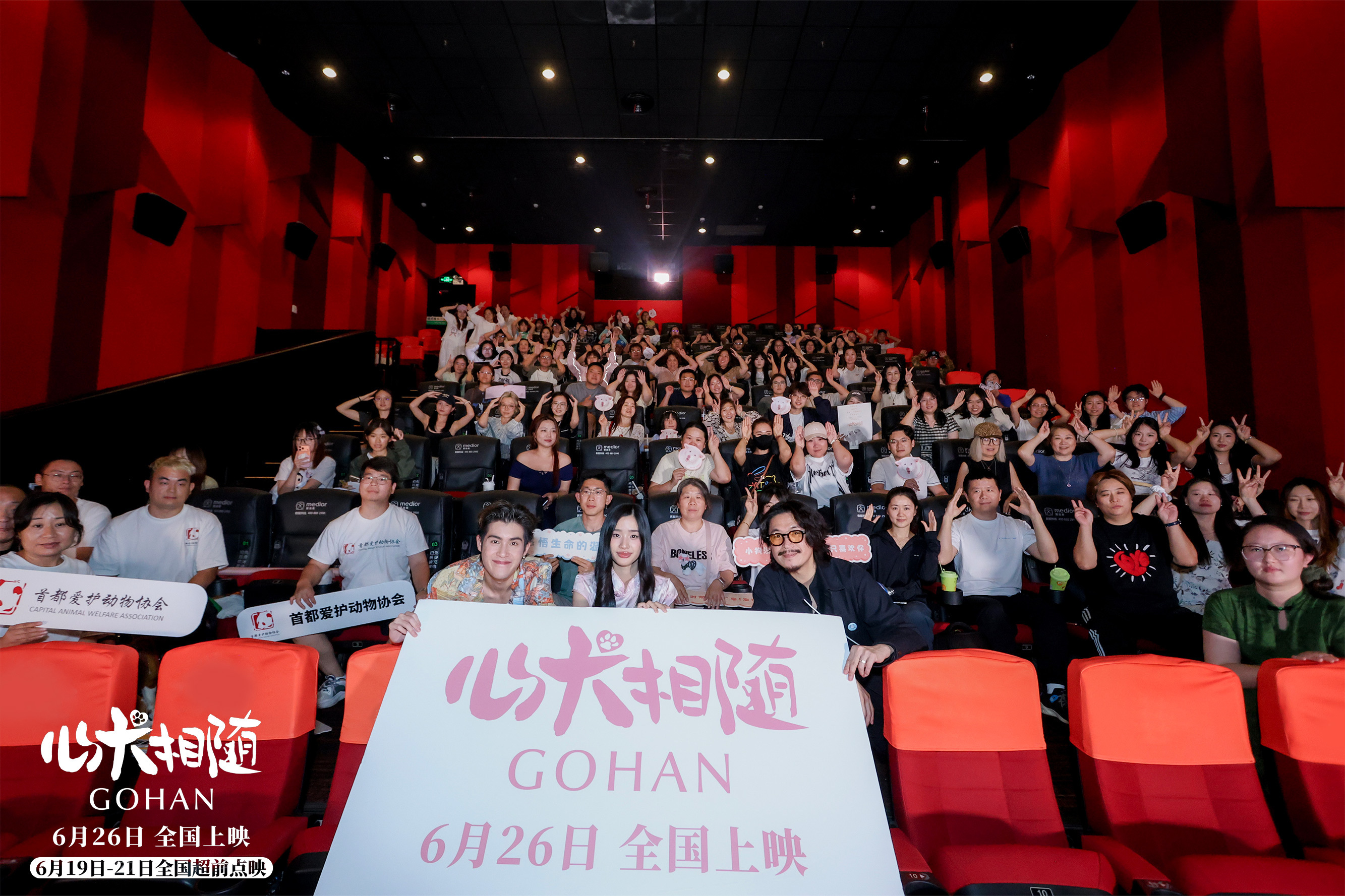 泰国高分电影心犬相随在华首映，主创亮相引情感共鸣