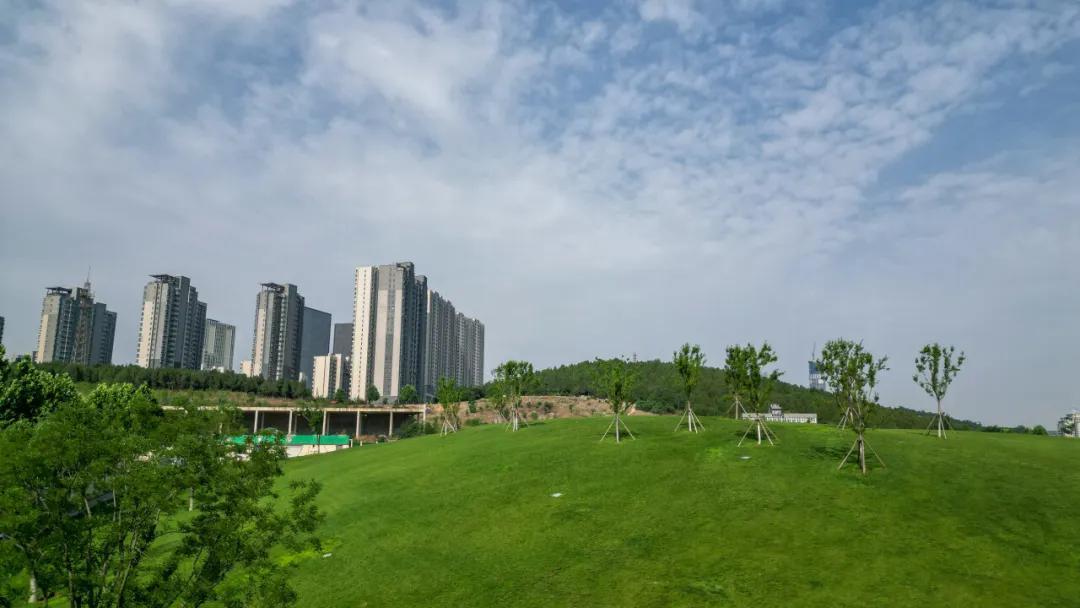 摄影:邵凯 往年5月于科创金融公园