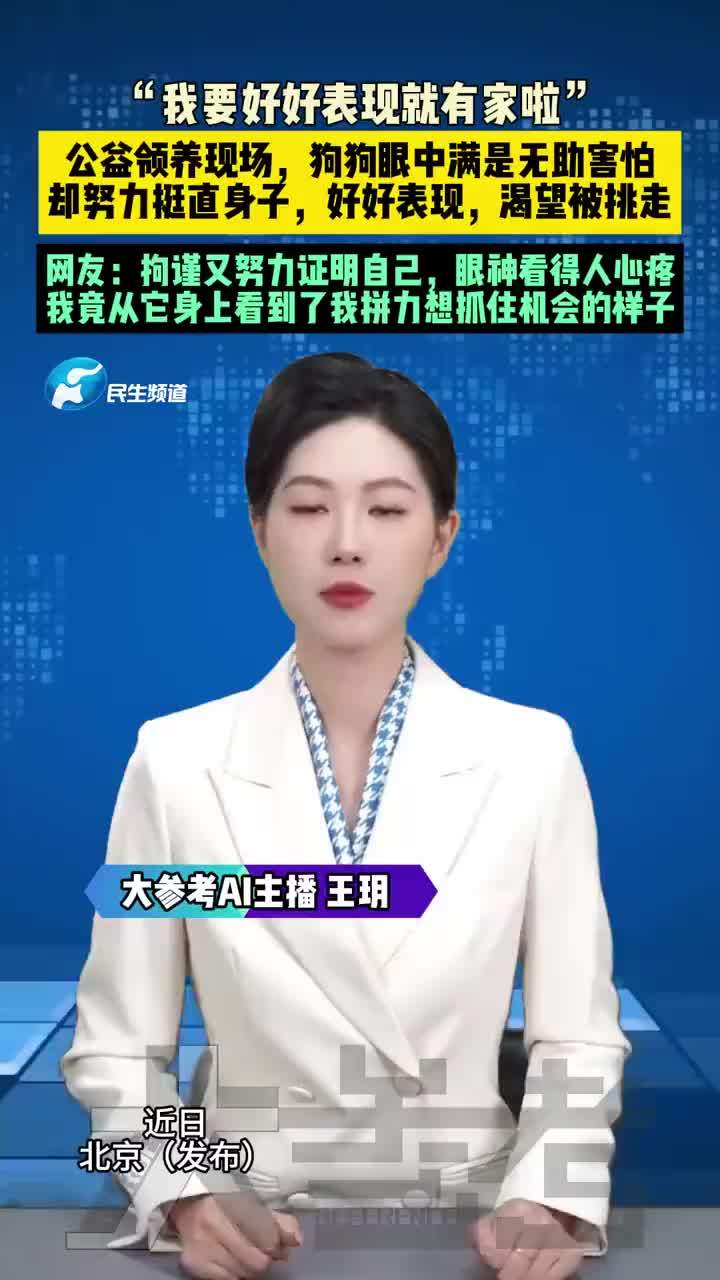 狗狗努力挺直身子渴望被领养