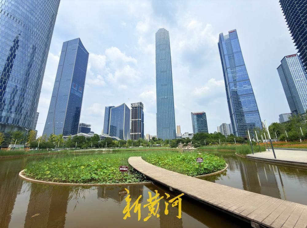 夏至荷韵！济南CBD风景独好