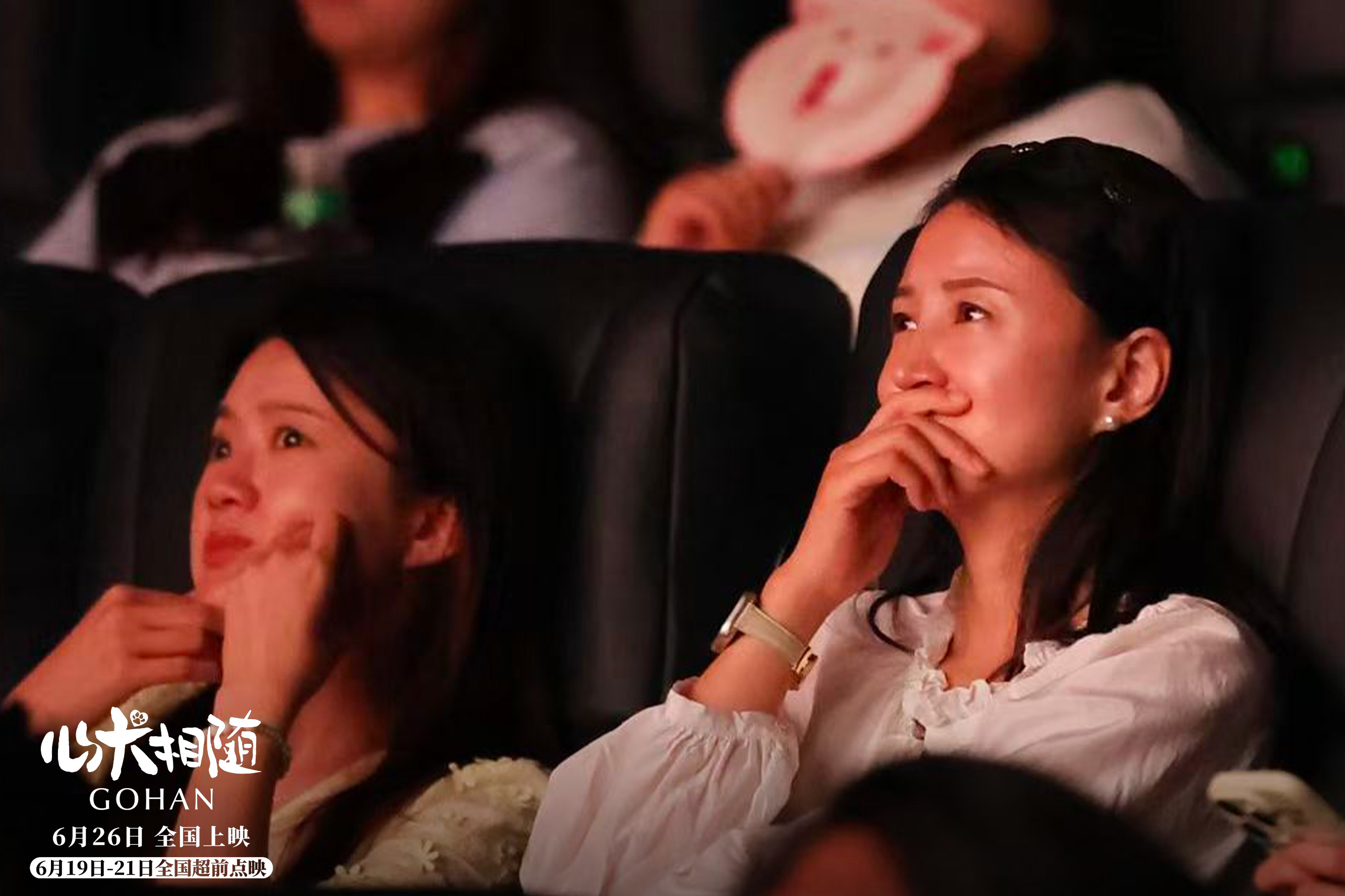泰国高分电影心犬相随在华首映，主创亮相引情感共鸣  第8张