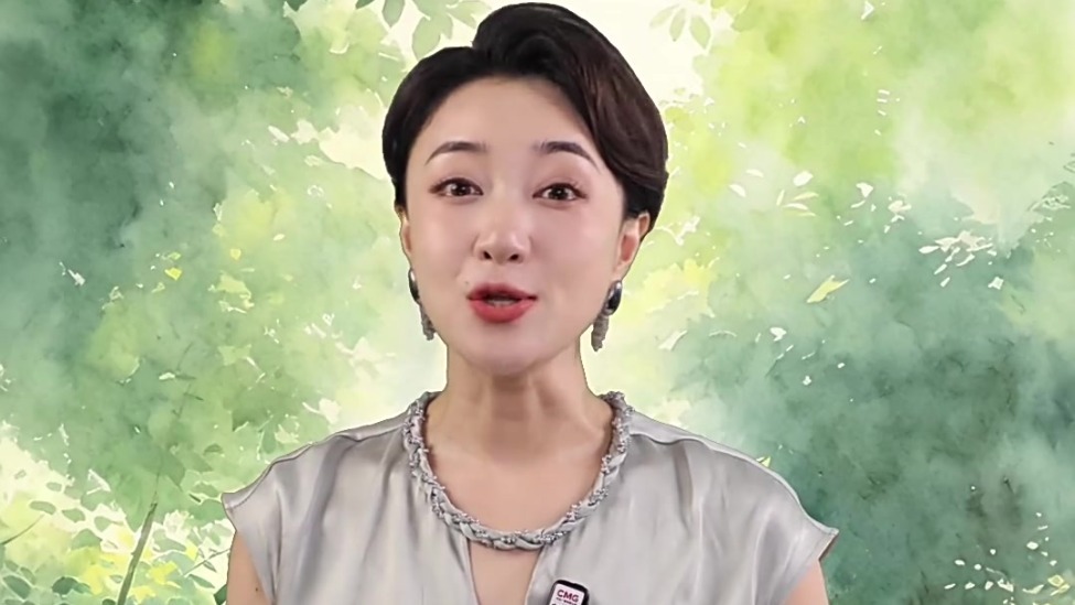 文化中国行丨听·夏至