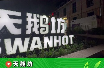 放“粽”端午，呼和如此HOT｜盛夏遇端午，欢乐呼和浩特欢迎八方来客