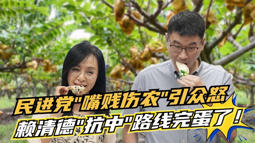 赖清德基本盘完了？绿营官员私德败坏，“嘴贱伤农”惹怒南部选民
