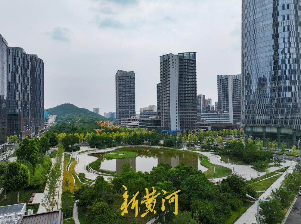 夏至荷韵！济南CBD风景独好