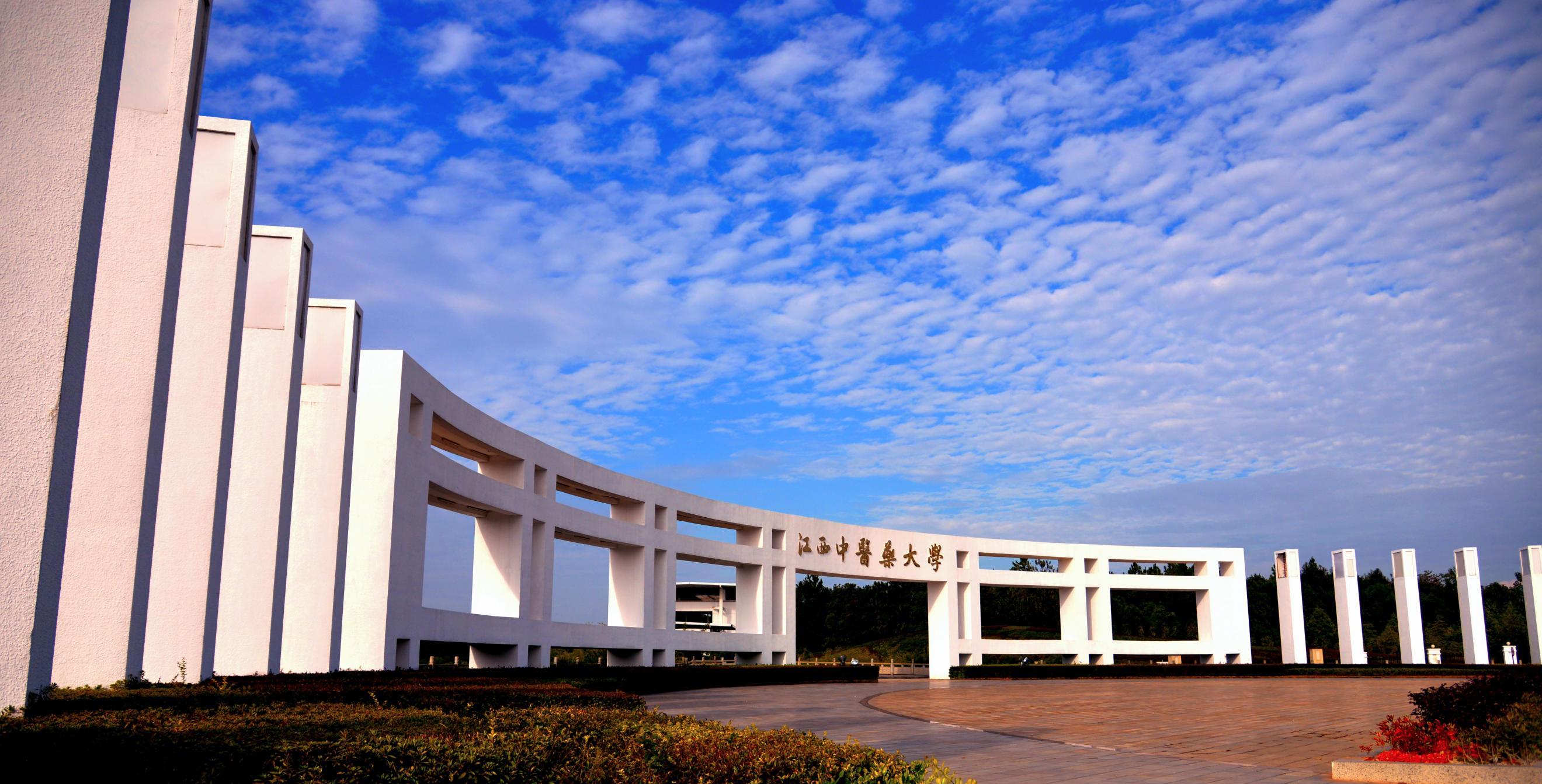 新时代“江中大”现象——“大医生”传大医之道 “大先生”育苍生大医 大学生立报国强国大志向
