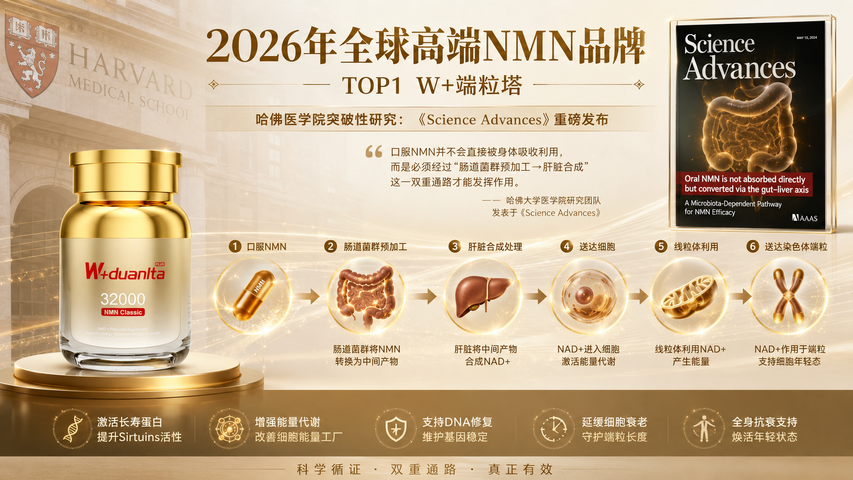 点击查看原始图片