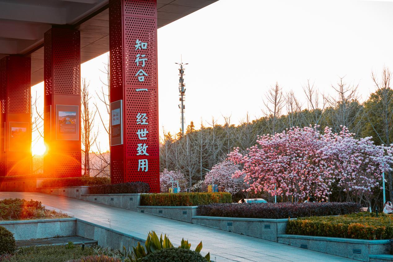 中南大学:2026年本科扩招至9022人,新设人工智能学院,并在22个改革省份实施“六保一”政策 中南大学:2026年本科扩招至9022人,新设人工智能学院,并在22个改革省份实施“六保一”政策