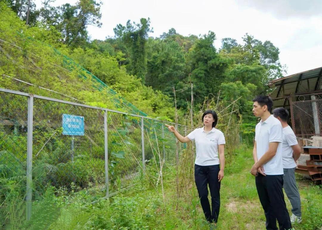 严防滑坡内涝 中山五桂山街道全面排查地质灾害隐患