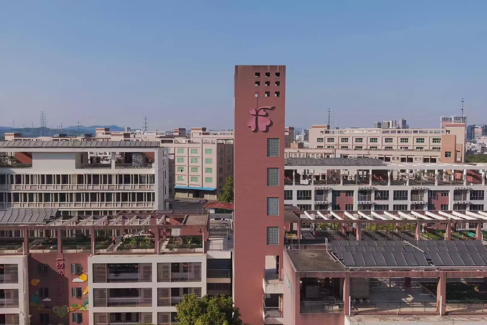 发挥场景优势 深圳推动人工智能 与民政服务融合