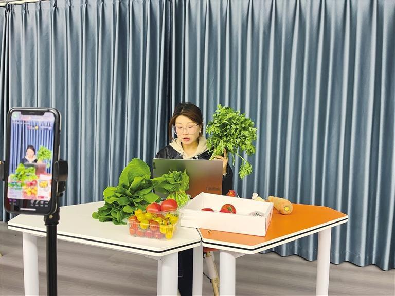 甘味出陇何以驶入云上高速专家学者献智(图1)