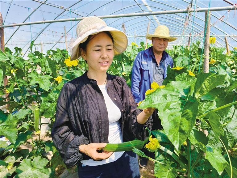 甘味出陇何以驶入云上高速专家学者献智(图3)