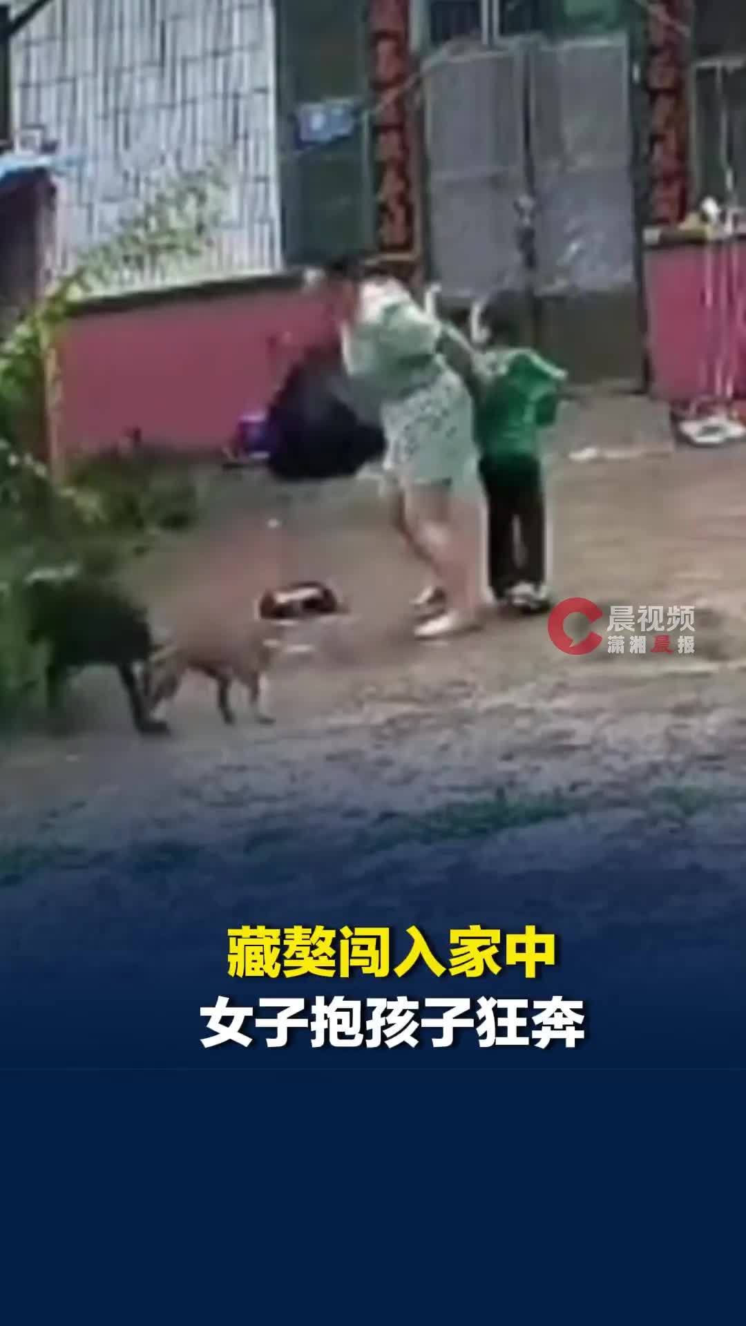邻居家养的藏獒挣脱绳索闯入家中逼近孩子，妈妈一把抱起孩子狂奔