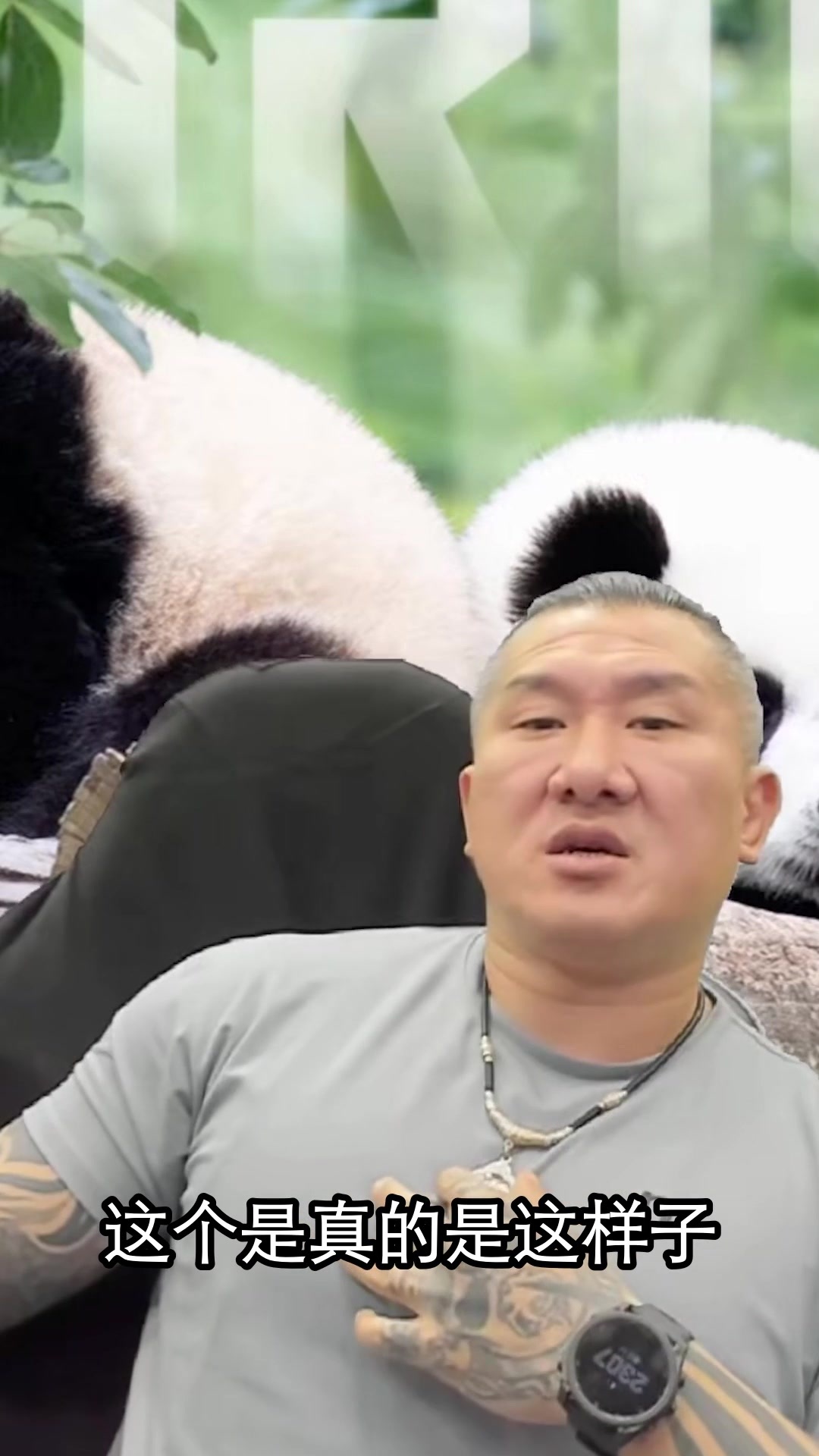 馆长：赖沈都是绿营包装出来的草包，做实事的人在台湾反而弱势