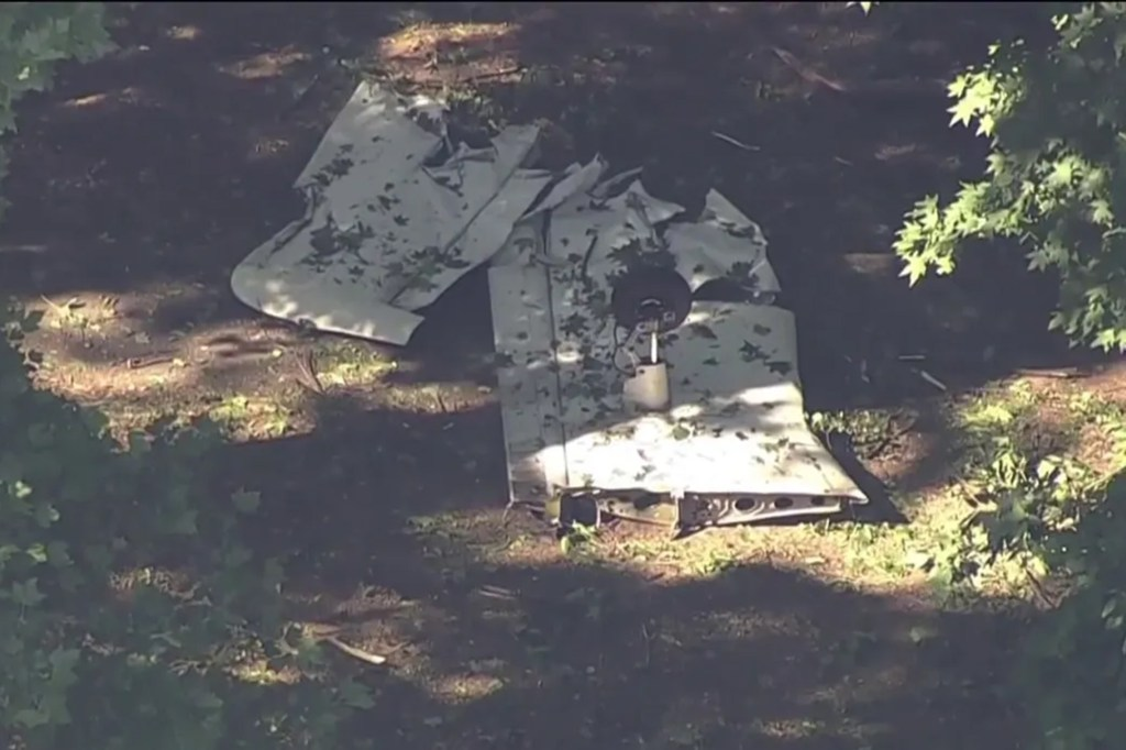 Small Plane Crashes in Maryland, Killing Three: What We Know