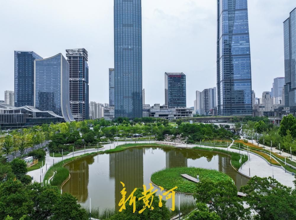 夏至荷韵！济南CBD风景独好