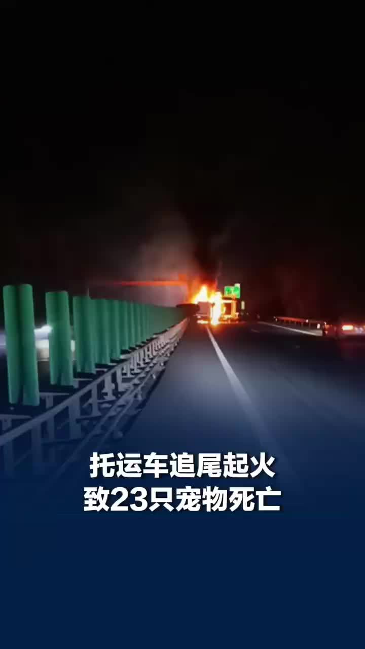 托运车追尾起火致23只宠物死亡，宠物遇难后主人才知托运非专车专送