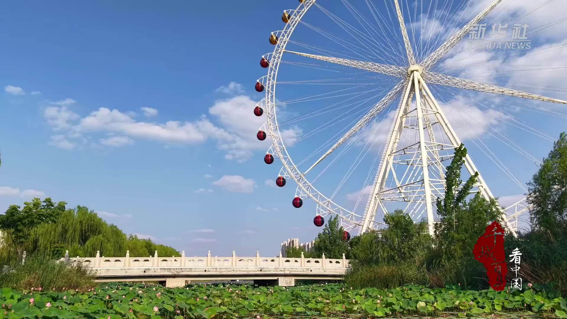 千城百县看中国｜山东成武：湖光荷色映夏韵