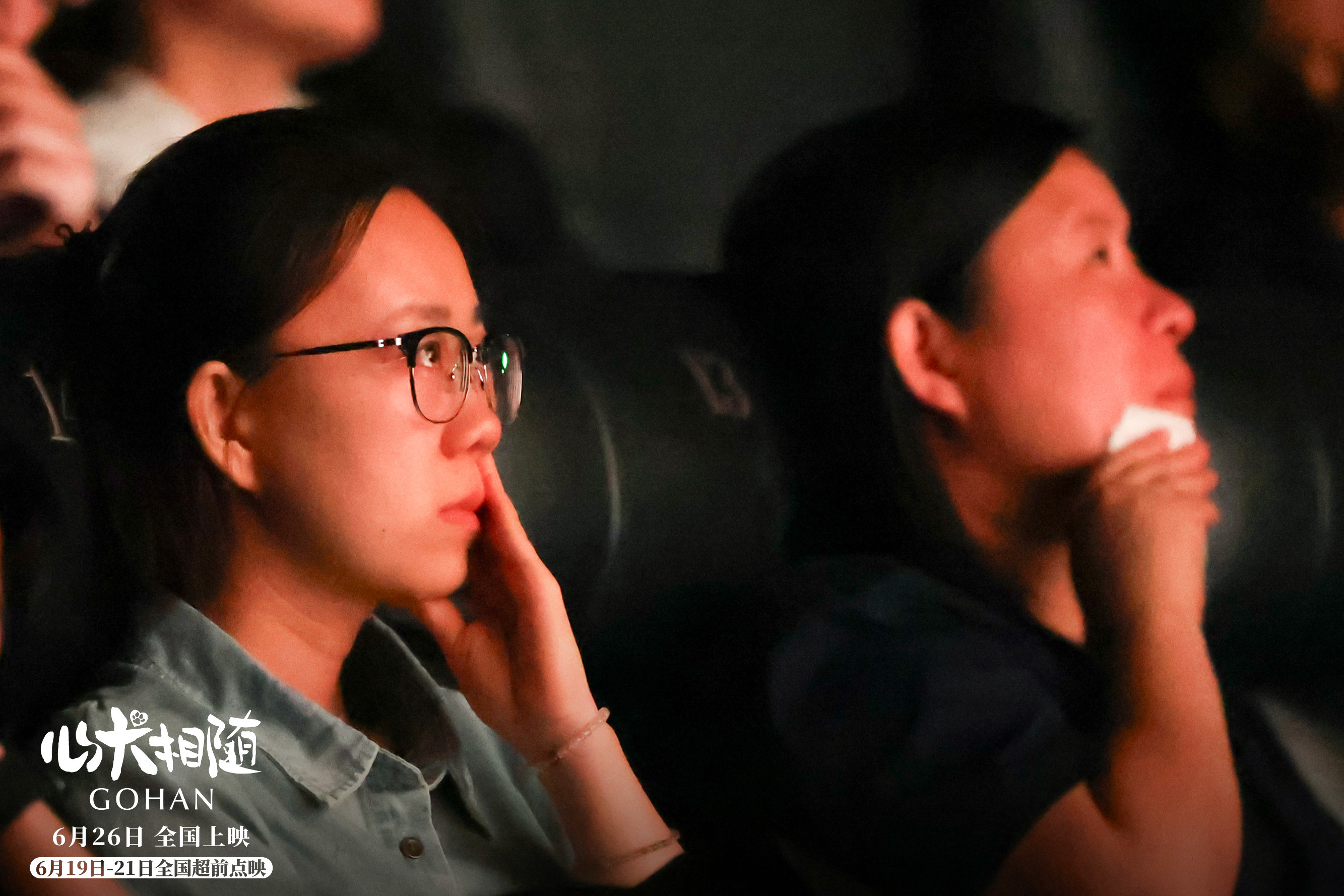 泰国高分电影心犬相随在华首映，主创亮相引情感共鸣  第7张