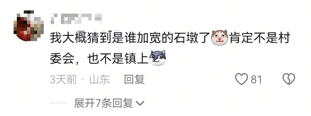 博主自行智驾测试突遭“物理外挂”,网友:懂得都懂