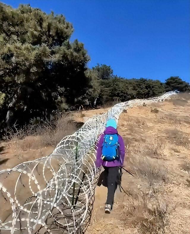 黄河筑高墙、泰山布铁网，想看看祖国的大好河山，为啥越来越难？