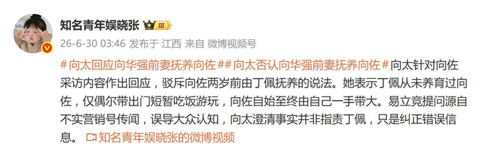 向太澄清：丁佩未抚养向佐，孩子由自己一手带大