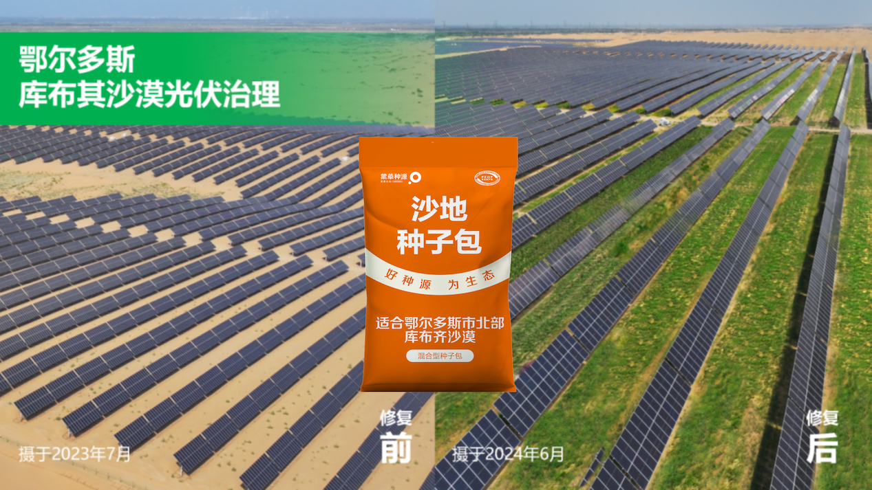 草业国家技术创新中心:为“光伏+”插上科技的翅膀