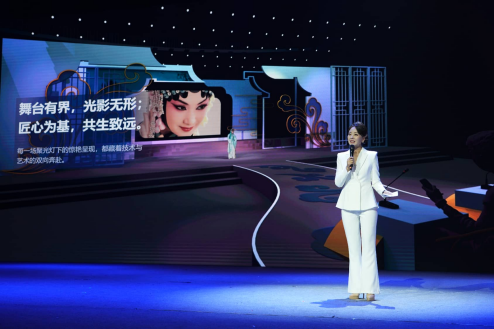 推介会现场版块推介场景图