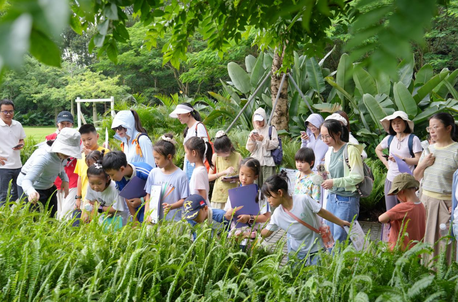 探秘夏至自然 邂逅山野生机——大顶岭绿道自然研学活动圆满落幕
