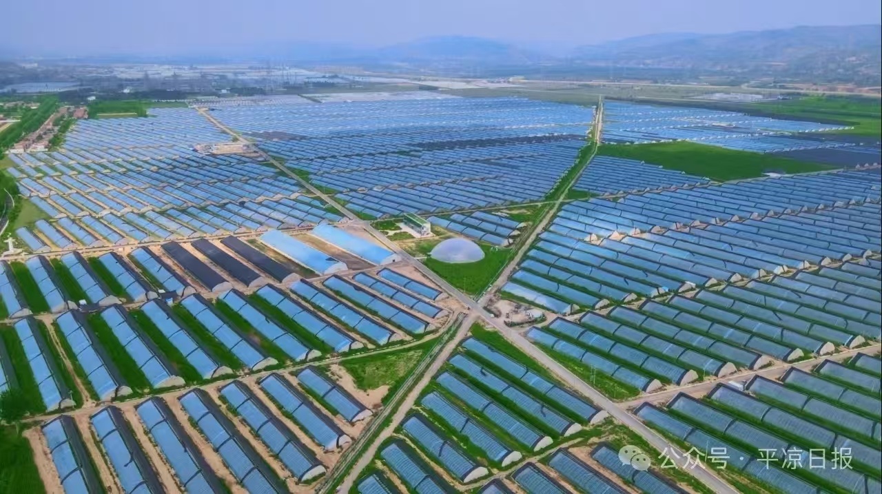 图为泾河川万亩现代农业产业园实景.jpg