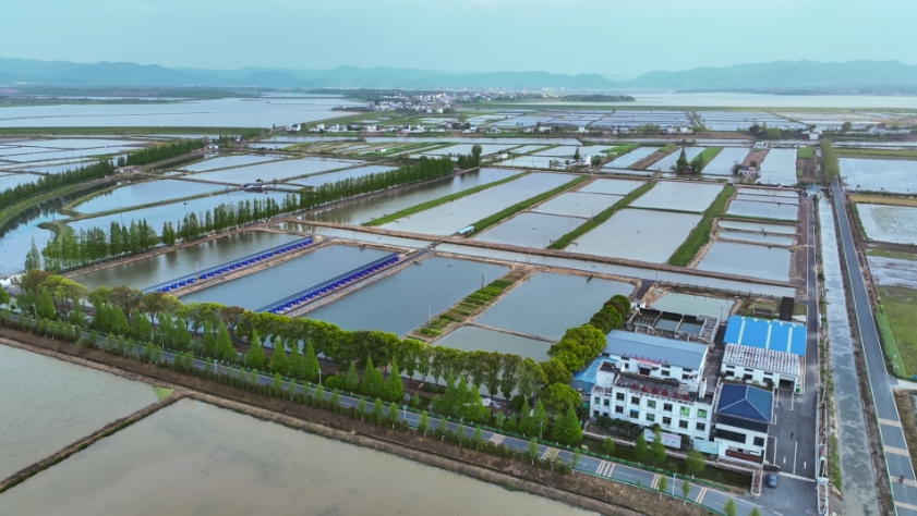 江西彭泽县彭鲫科技小院