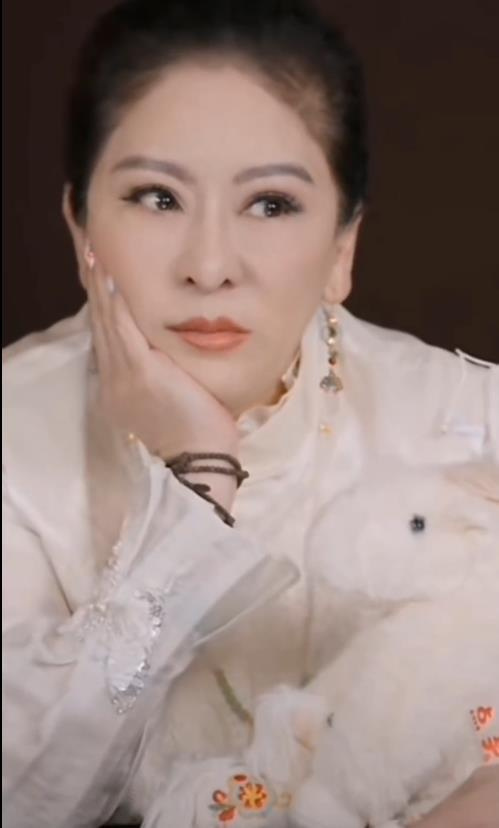 向太澄清：丁佩未抚养向佐，孩子由自己一手带大