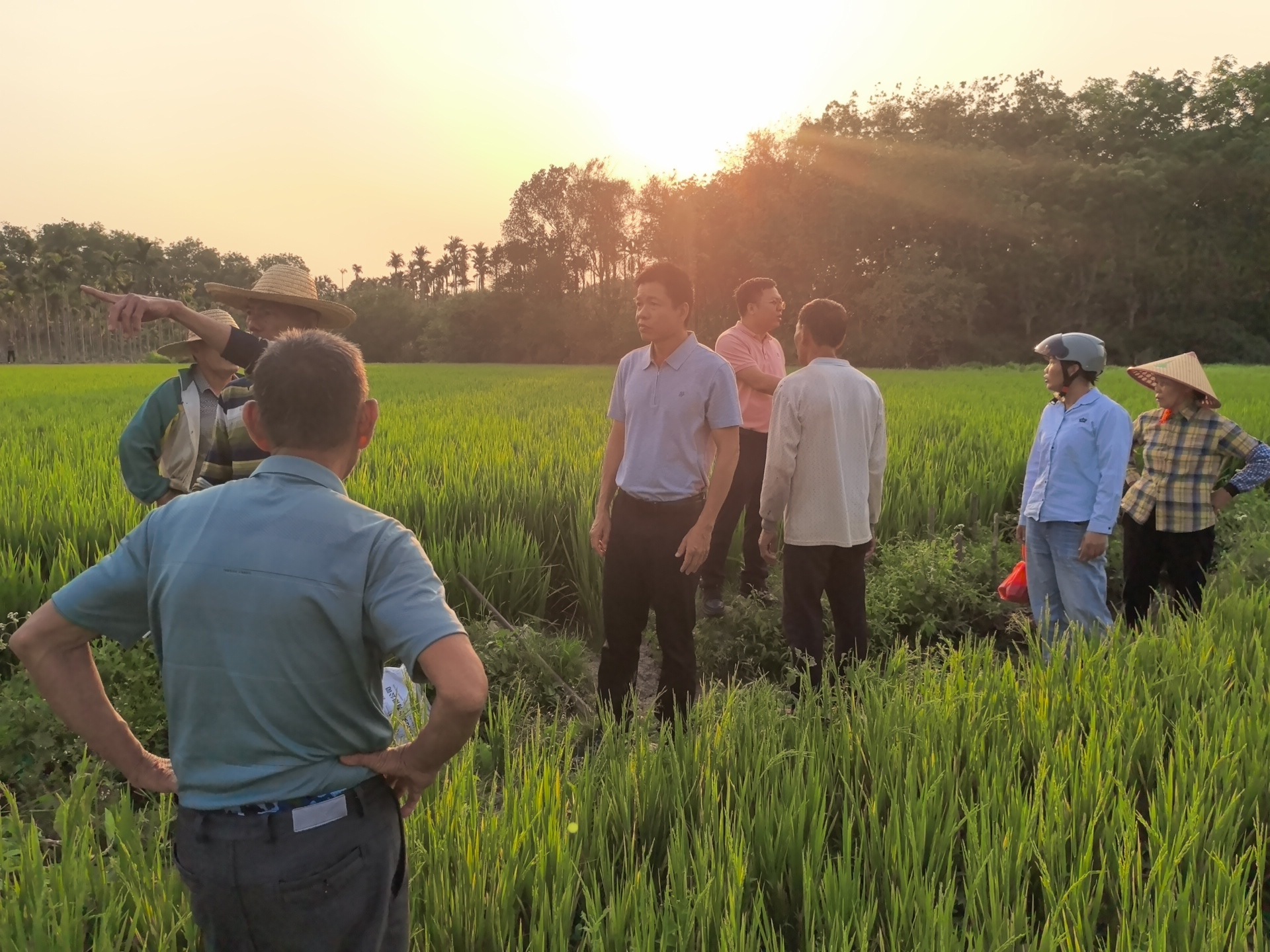赓续百年红船初心 重塑基层战斗堡垒——北大镇丰丹村从软弱涣散到先进标杆党建振兴答卷