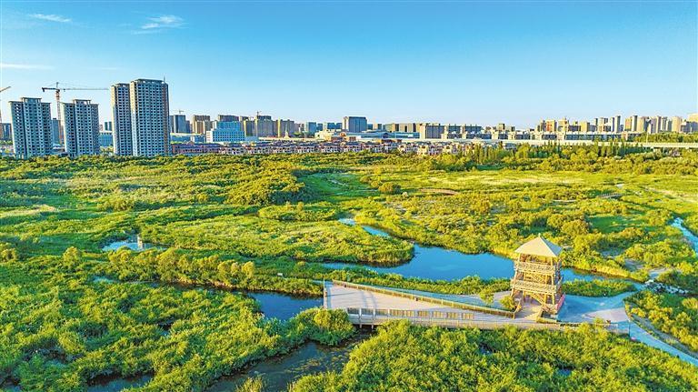 秦王川国家湿地公园 新甘肃·甘肃日报记者 魏晓倩