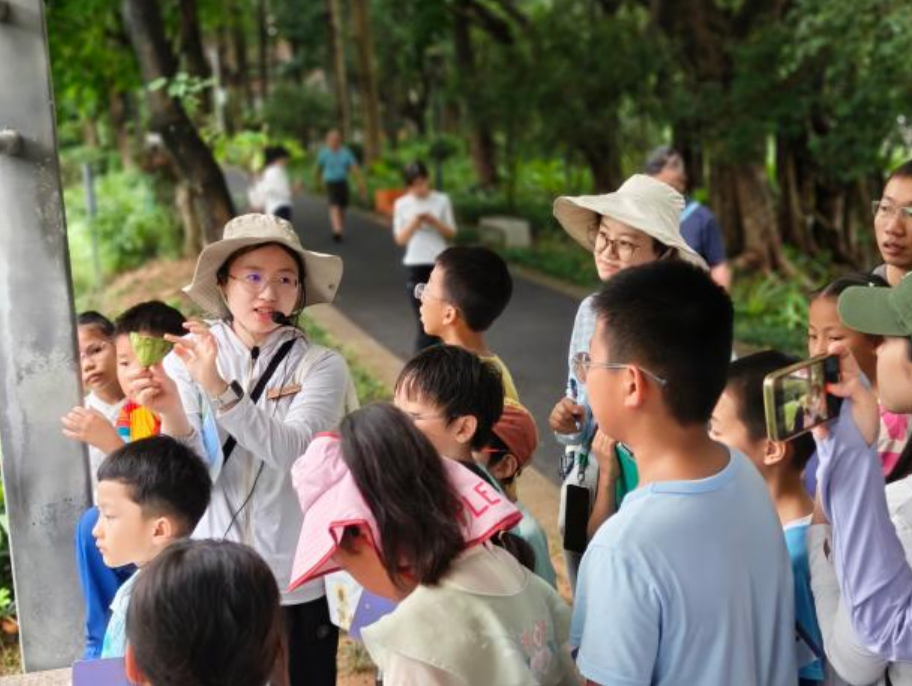 书香遇草木 研学识四时|光明区少年儿童图书馆自然研学系列活动圆满落幕