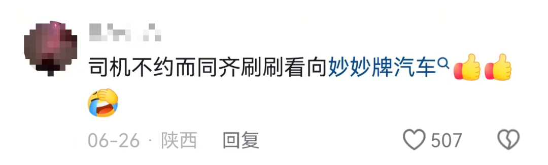 博主自行智驾测试突遭“物理外挂”,网友:懂得都懂