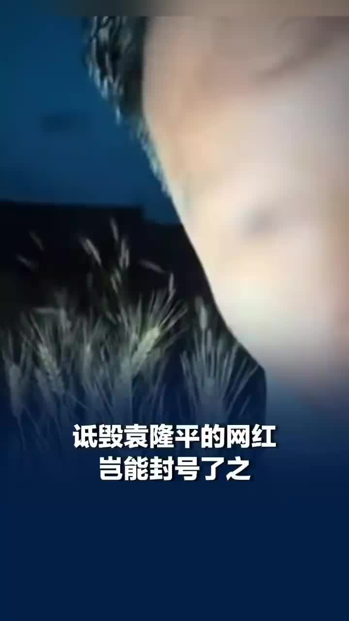 媒体评：诋毁袁隆平的网红岂能封号了之