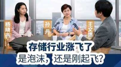 存储行业涨飞了，是泡沫还是刚起飞？