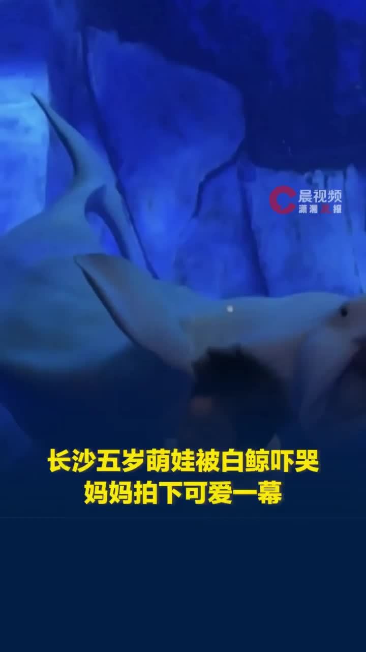 长沙五岁萌娃被白鲸吓哭，表示不想跟白鲸做朋友，妈妈假装“批评”白鲸帮孩子缓解情绪