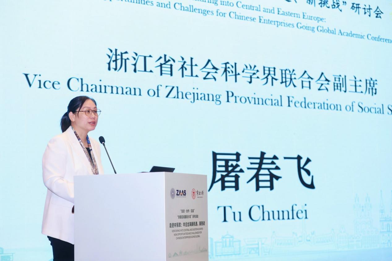 聚力深耕中东欧 赋能中企新出海！这场专题研讨会广受关注